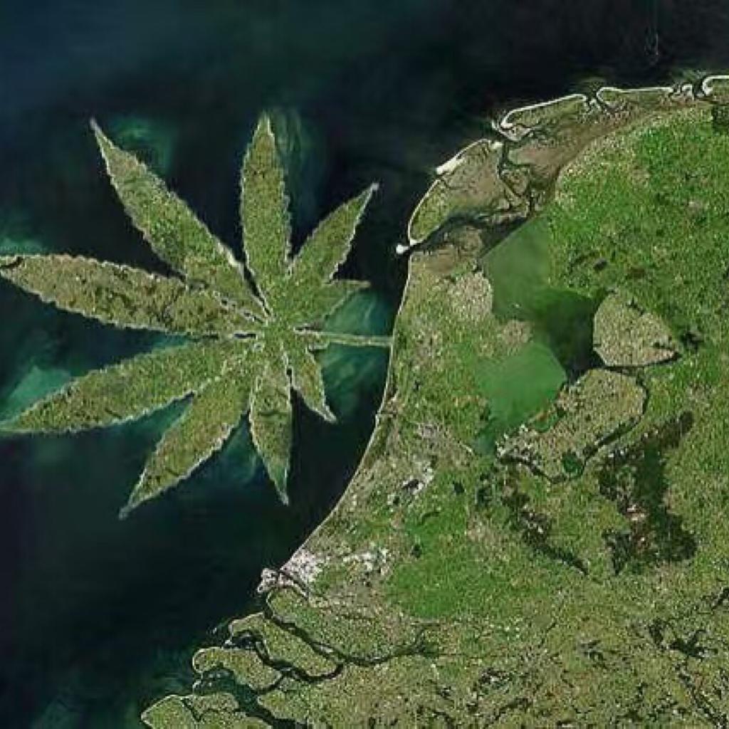 从牙买加飞到峨山!!