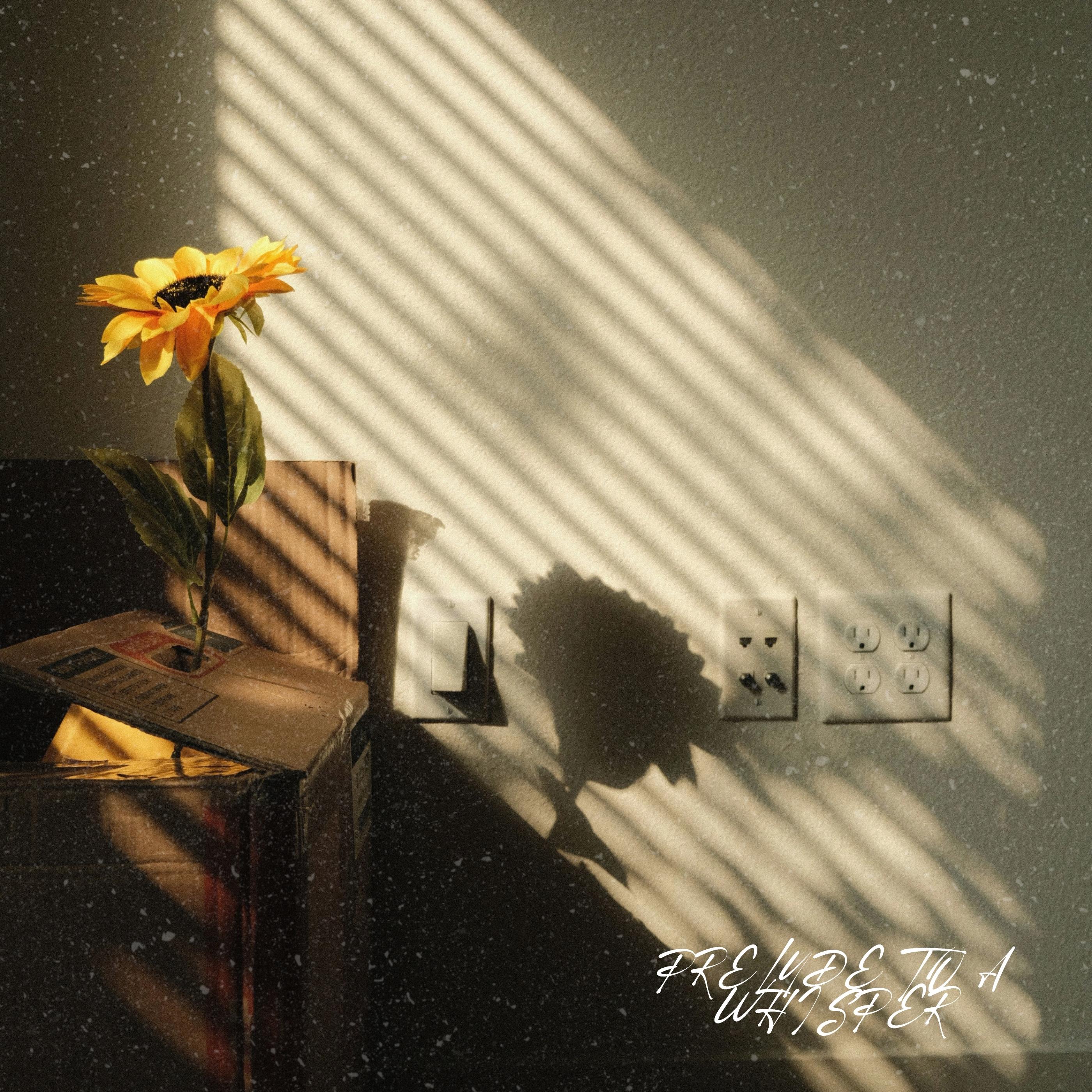 Prelude to a whisper