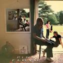 Ummagumma