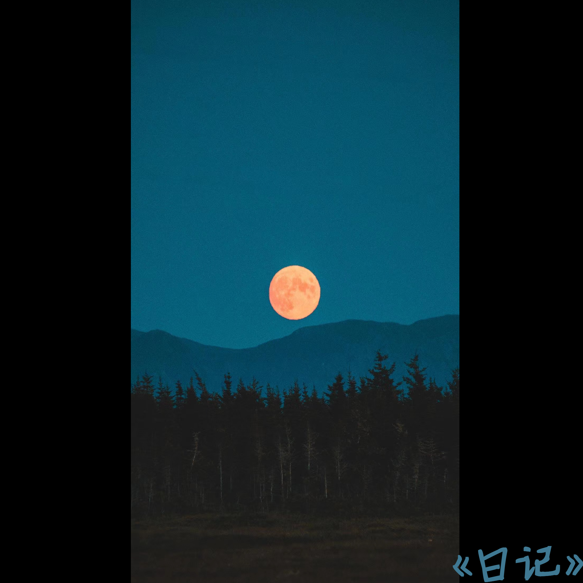 日记