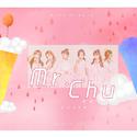 APINK COVER