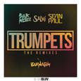 Trumpets (3Ball MTY Remix)