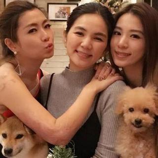 你的歌里都是青春
