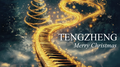 Merry Christmas专辑
