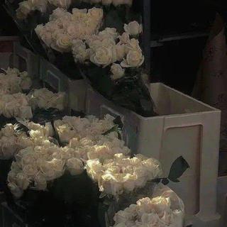 “晚风与玫瑰共绘浪漫 你是我藏在心底的爱
