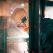 Fly Through Everything