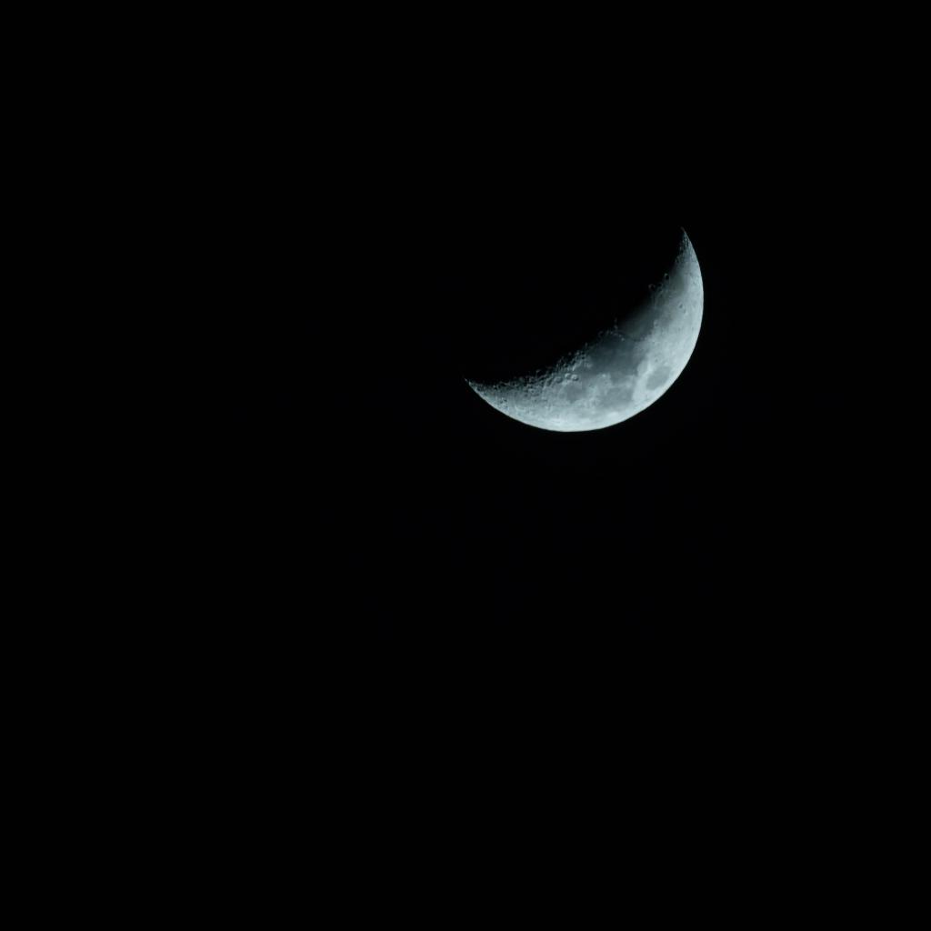 肖邦升c小调夜曲版本精选