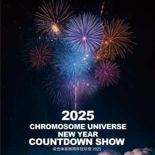 染色体家族跨年狂欢夜2025