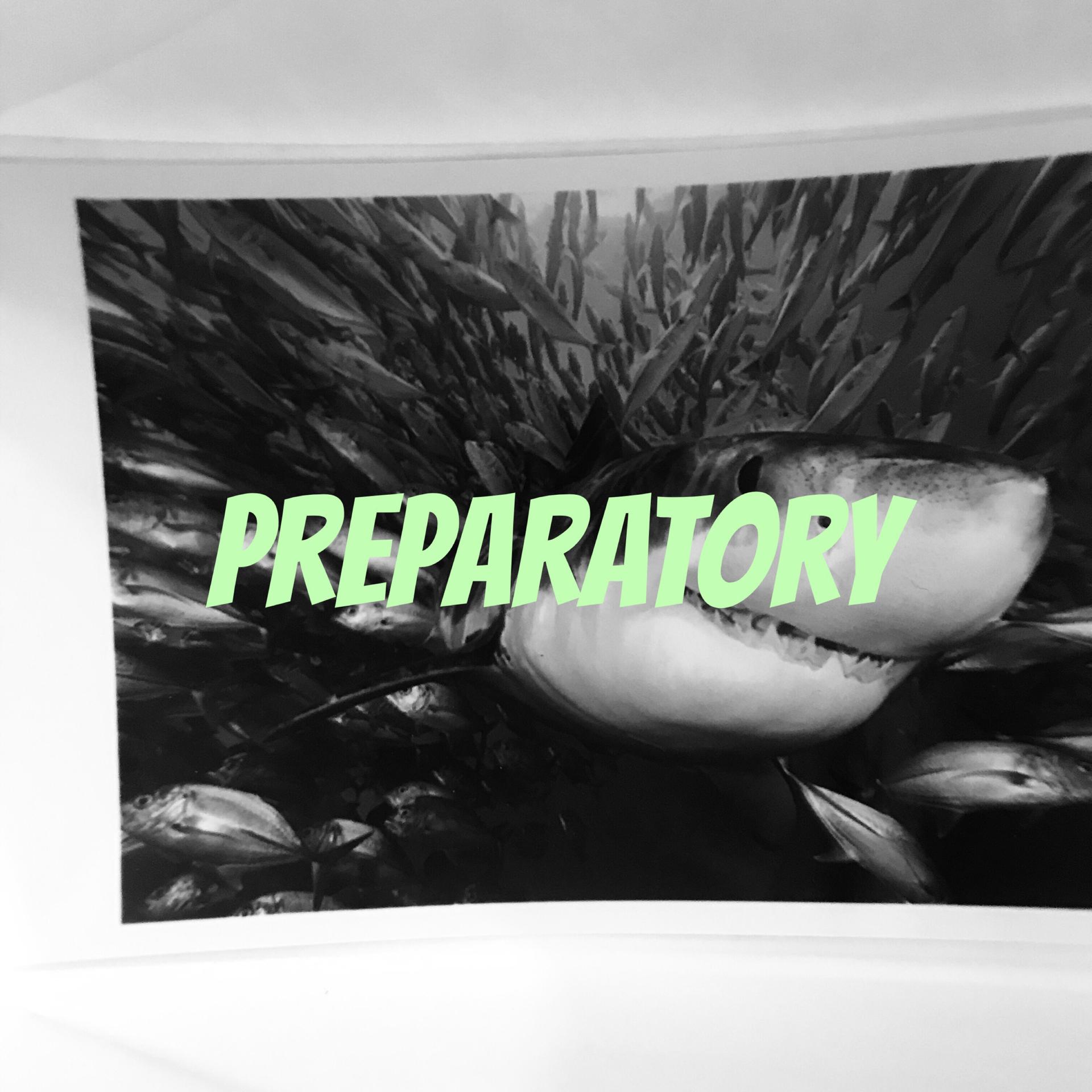 Preparatory专辑