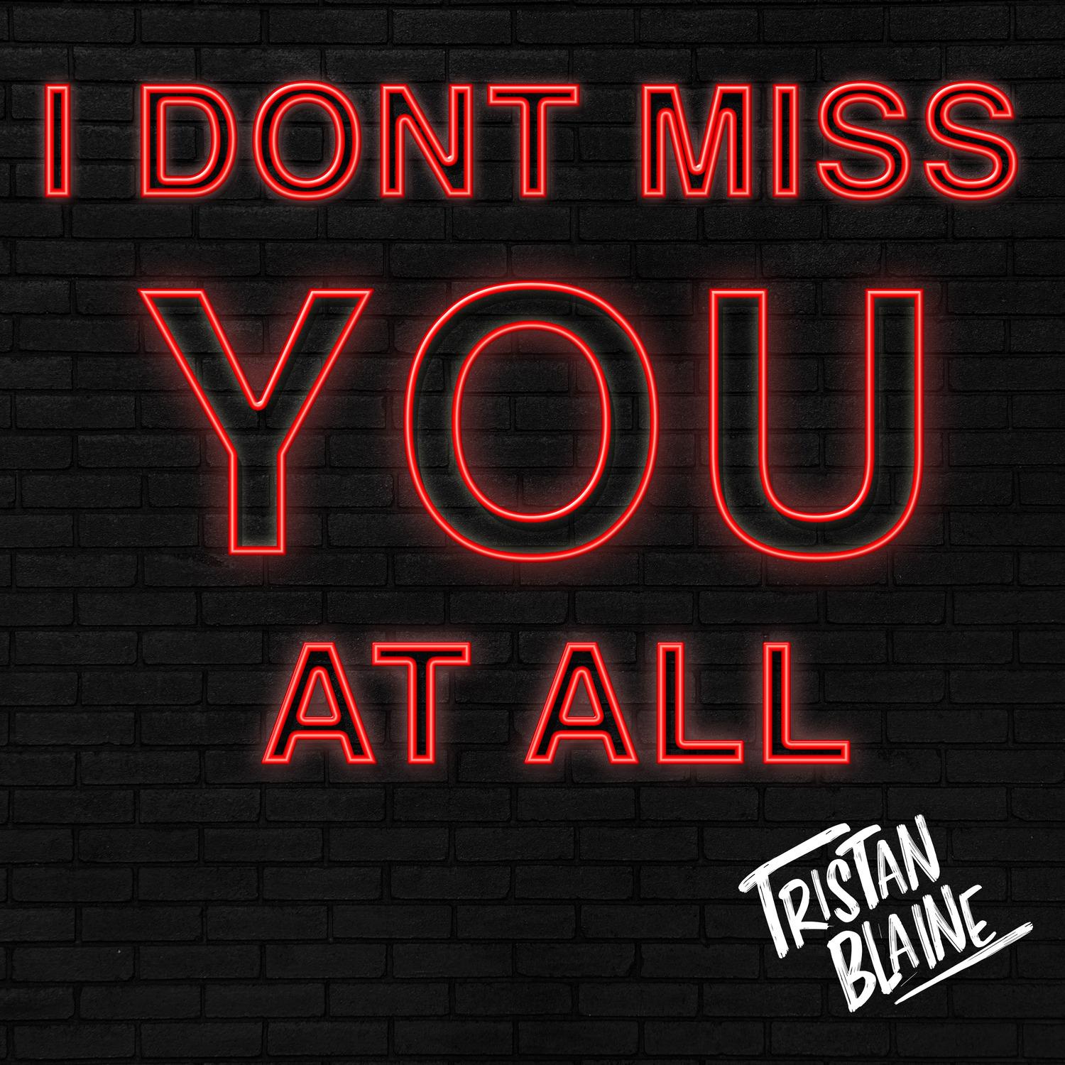 I Don't Miss You at All