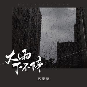 苏星婕 - 大雨下不停