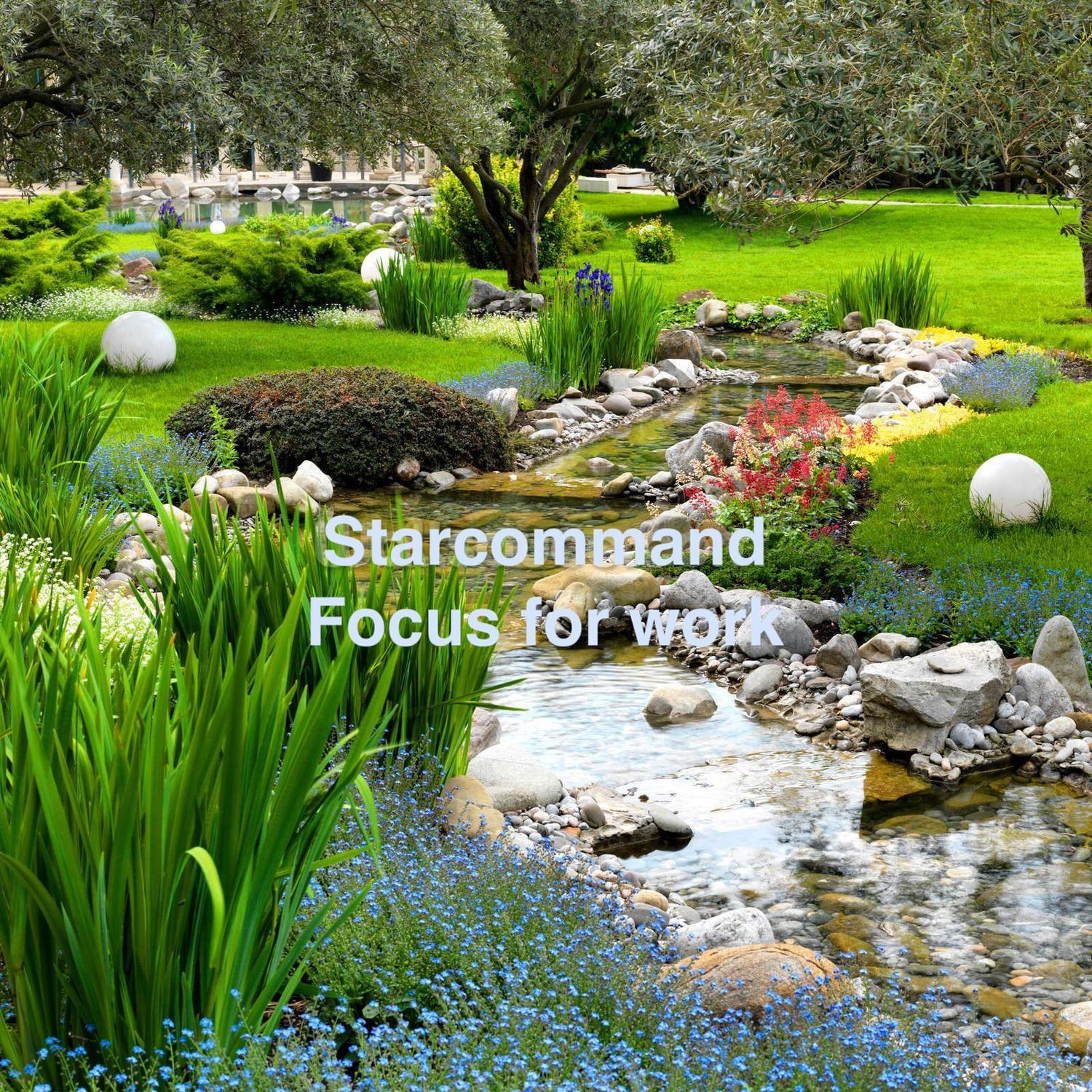 Starcommand (Focus for Work)