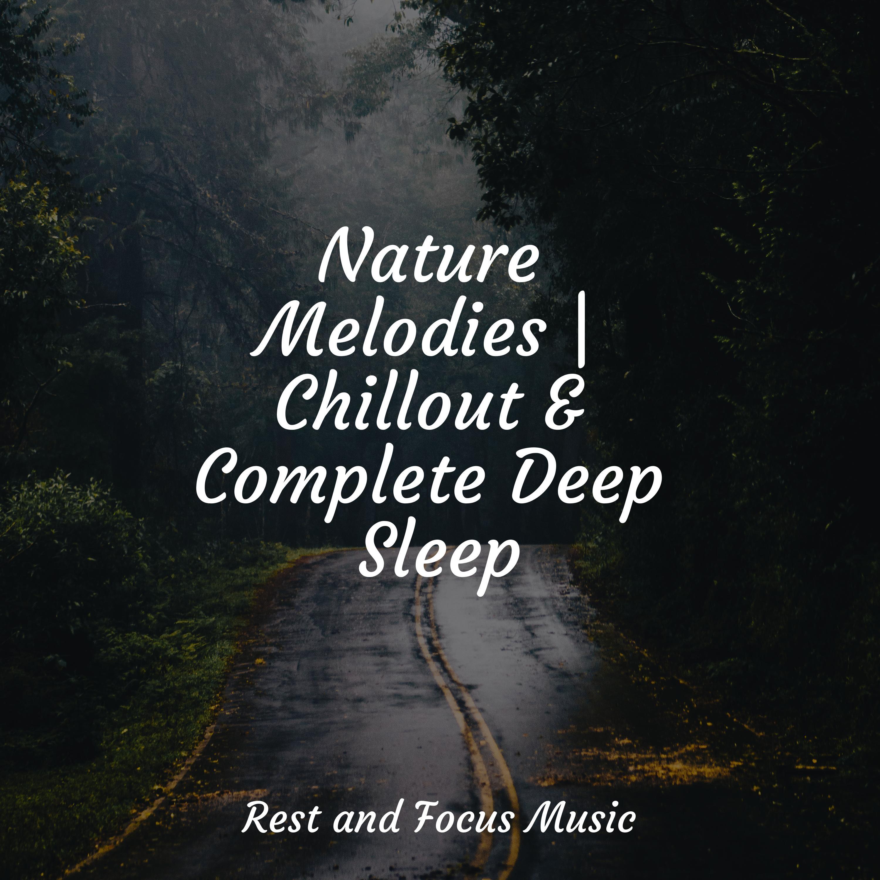 Nature Melodies | Chillout & Complete Deep Sleep