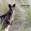 Joaqino Bianco - Little Joe