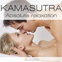 Kamasutra medley: aqua / Aria / Ayama / Beneficio della luce / Emozioni / Esperienza positiva / I qu专辑