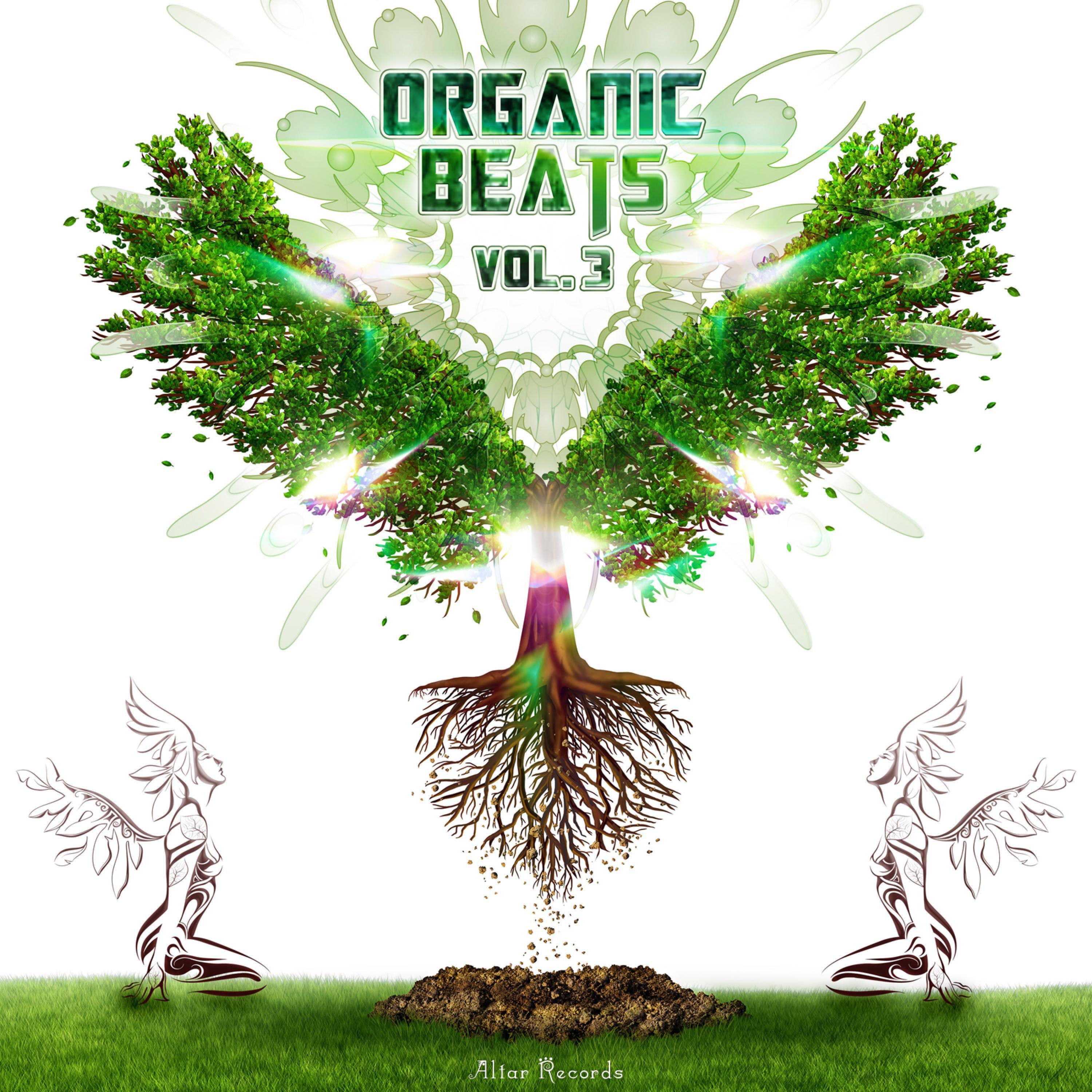 VA Organic Beats Vol. 3 - Opuntias & Cactoids