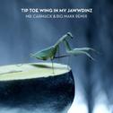 Tip Toe Wing In My Jawwdinz (Mr. Carmack & BIG MAKK Remix)专辑