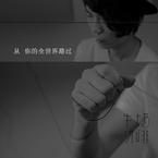 专辑《从你的全世界路过》