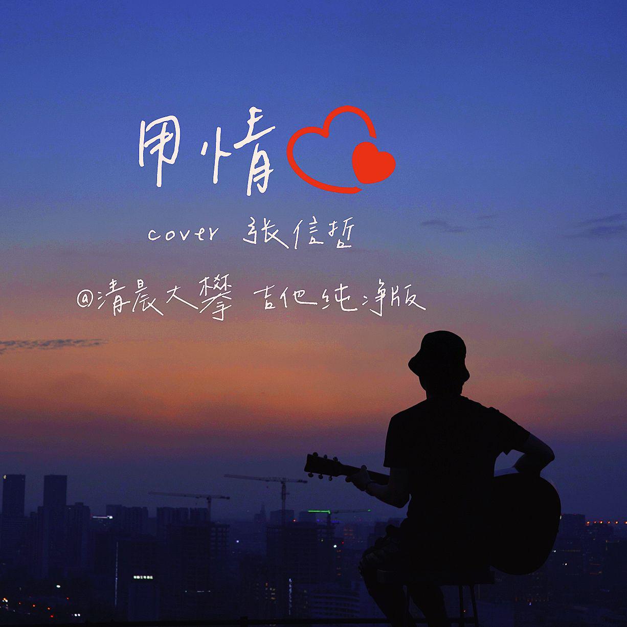 用情（温暖治愈版）