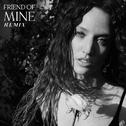 Friend Of Mine (Paul Woolford Remix)专辑