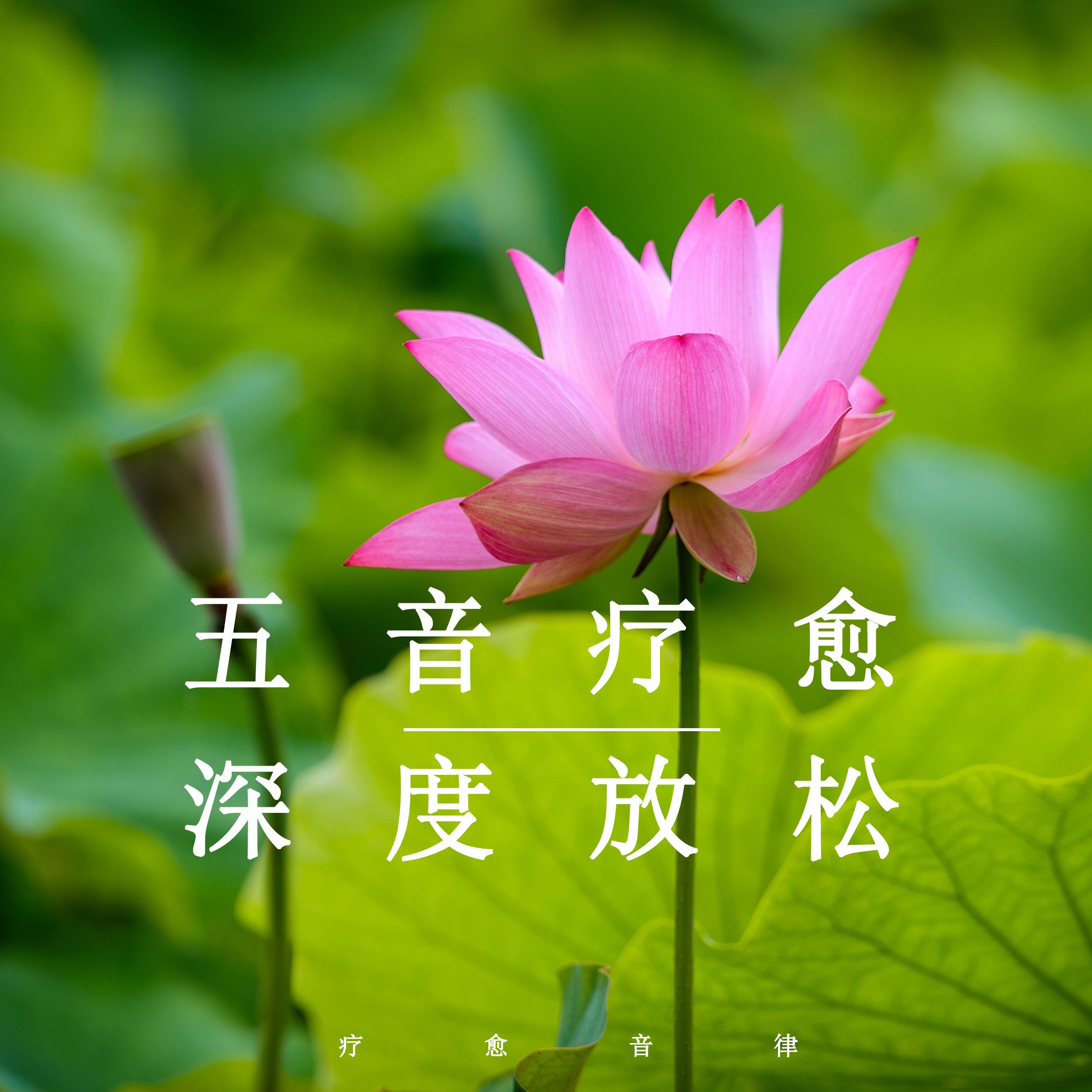 清净放松 (舒缓纯音乐)