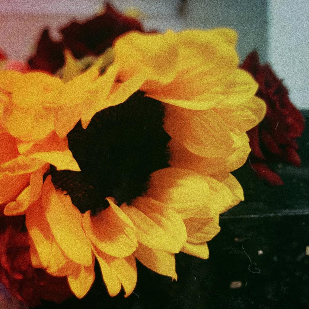 精 神 治 疗 套 餐