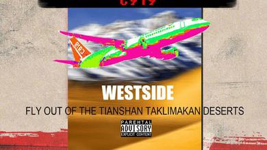 WESTSIDE C919