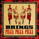 Polka, Polka, Polka专辑