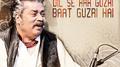 Dil Se Har Guzri Baat Guzri Hai专辑