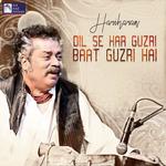 Dil Se Har Guzri Baat Guzri Hai专辑