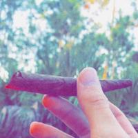 Robert Taylor - She Don't Want Her to Know