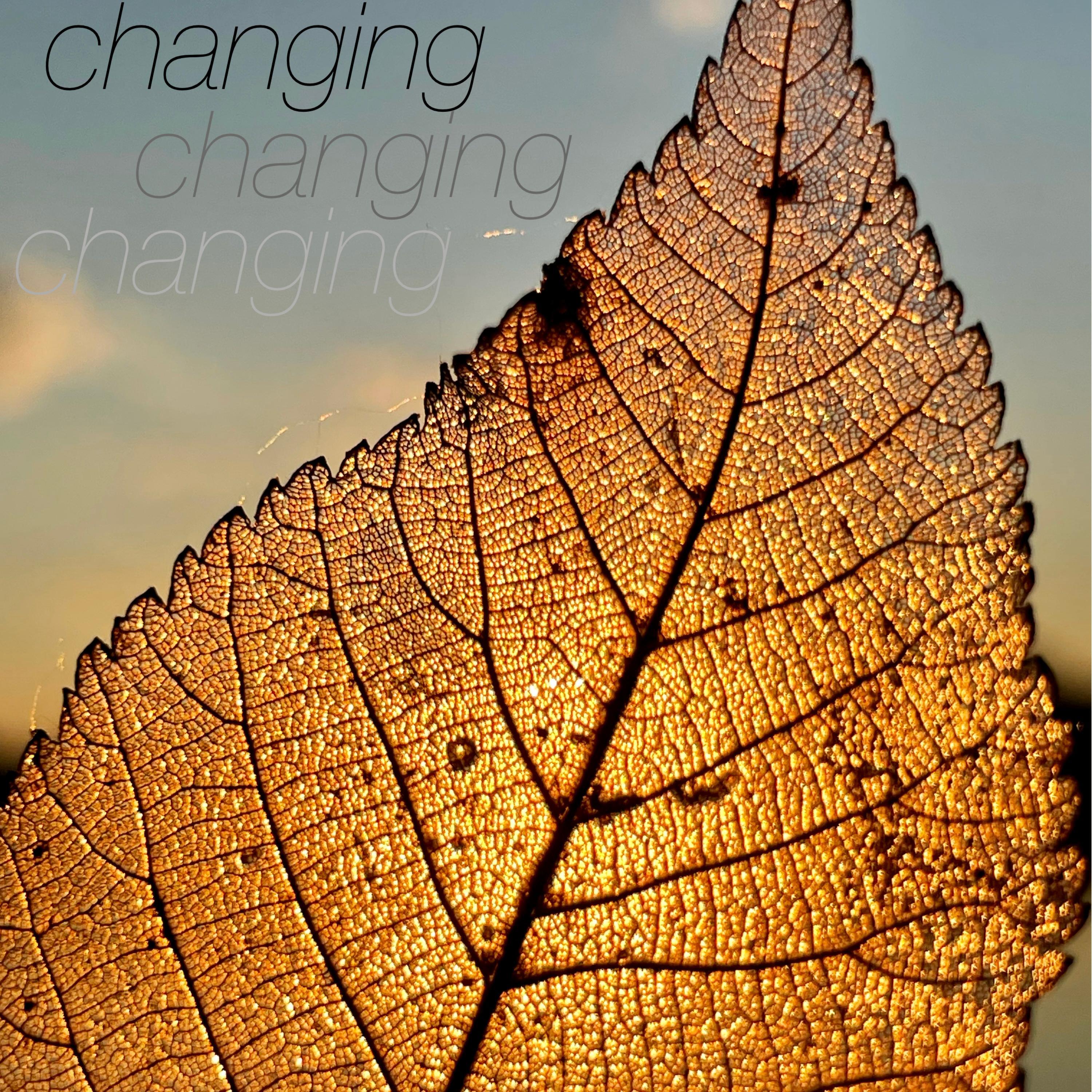 Changing (feat. Johnald)