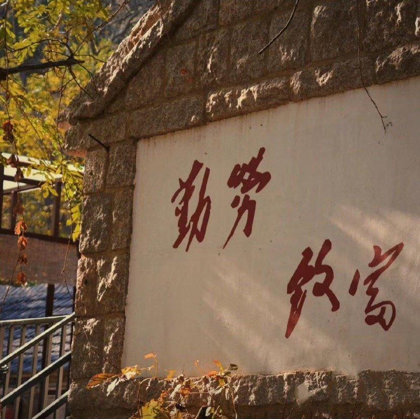 青春听歌排行榜