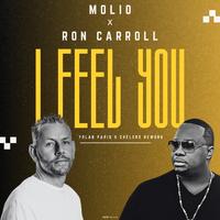 Molio - I Feel You (Yolan Paris X Chelero Remix Rework)