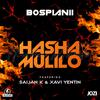 BosPianii - Hasha Mulilo (Radio Edit)