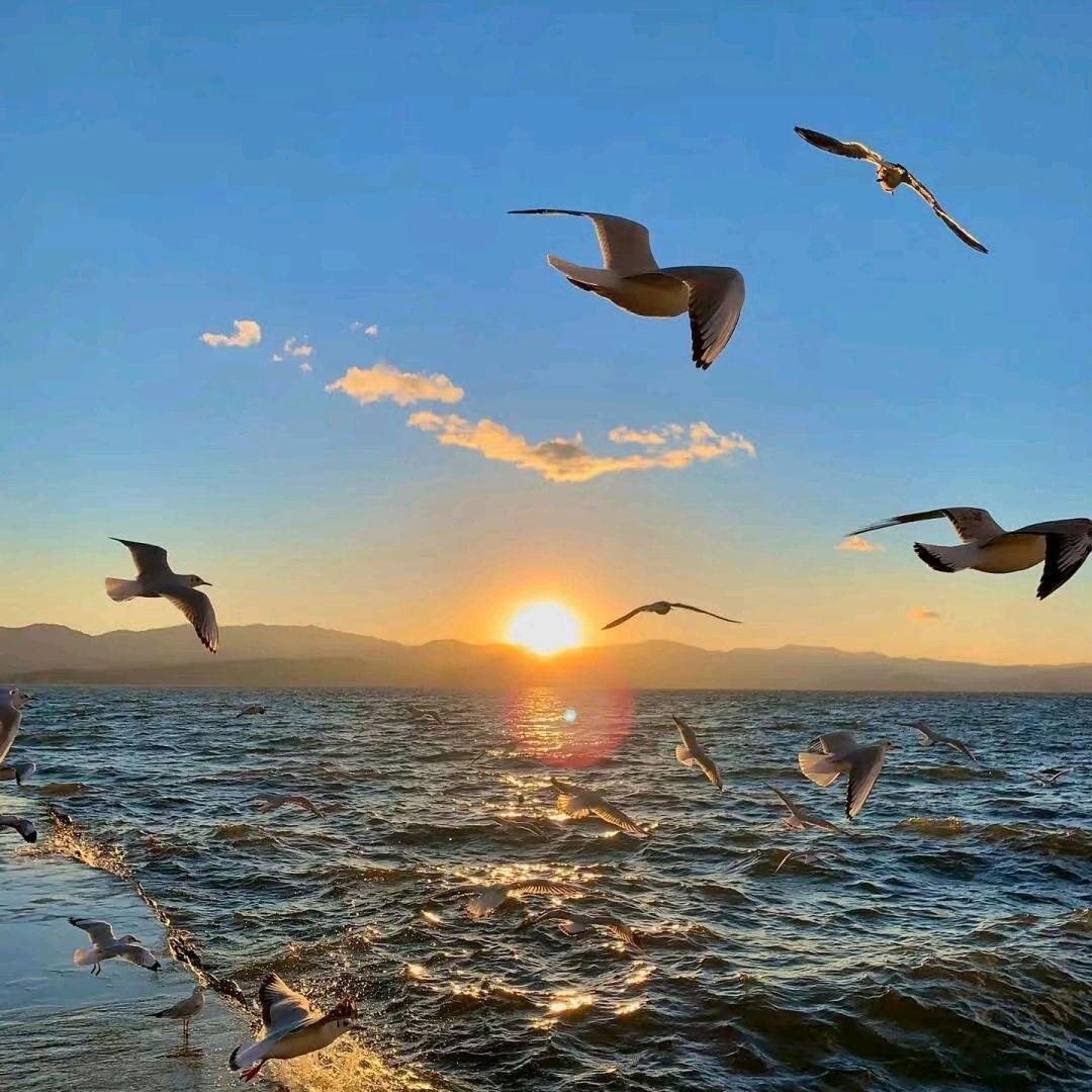 落日时空