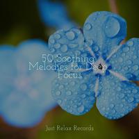 50 Soothing Melodies for Deep Focus