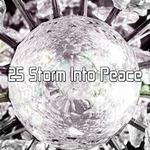 25 Storm Into Peace专辑