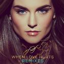 When Love Hurts Remixes专辑