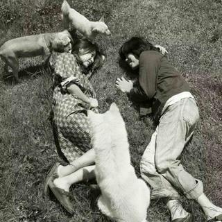 【孝利家民宿】尚顺的歌单大合集