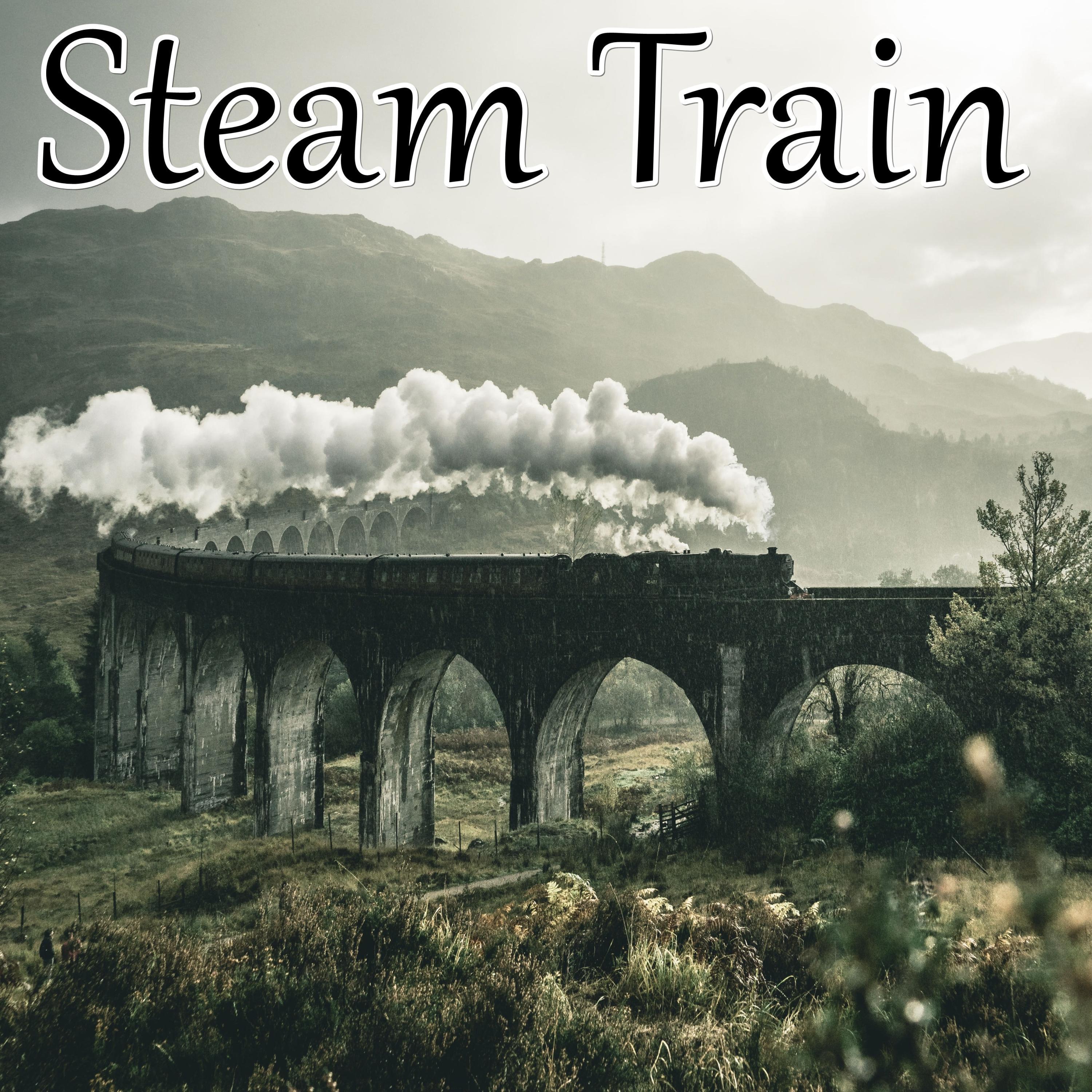 Steam Train