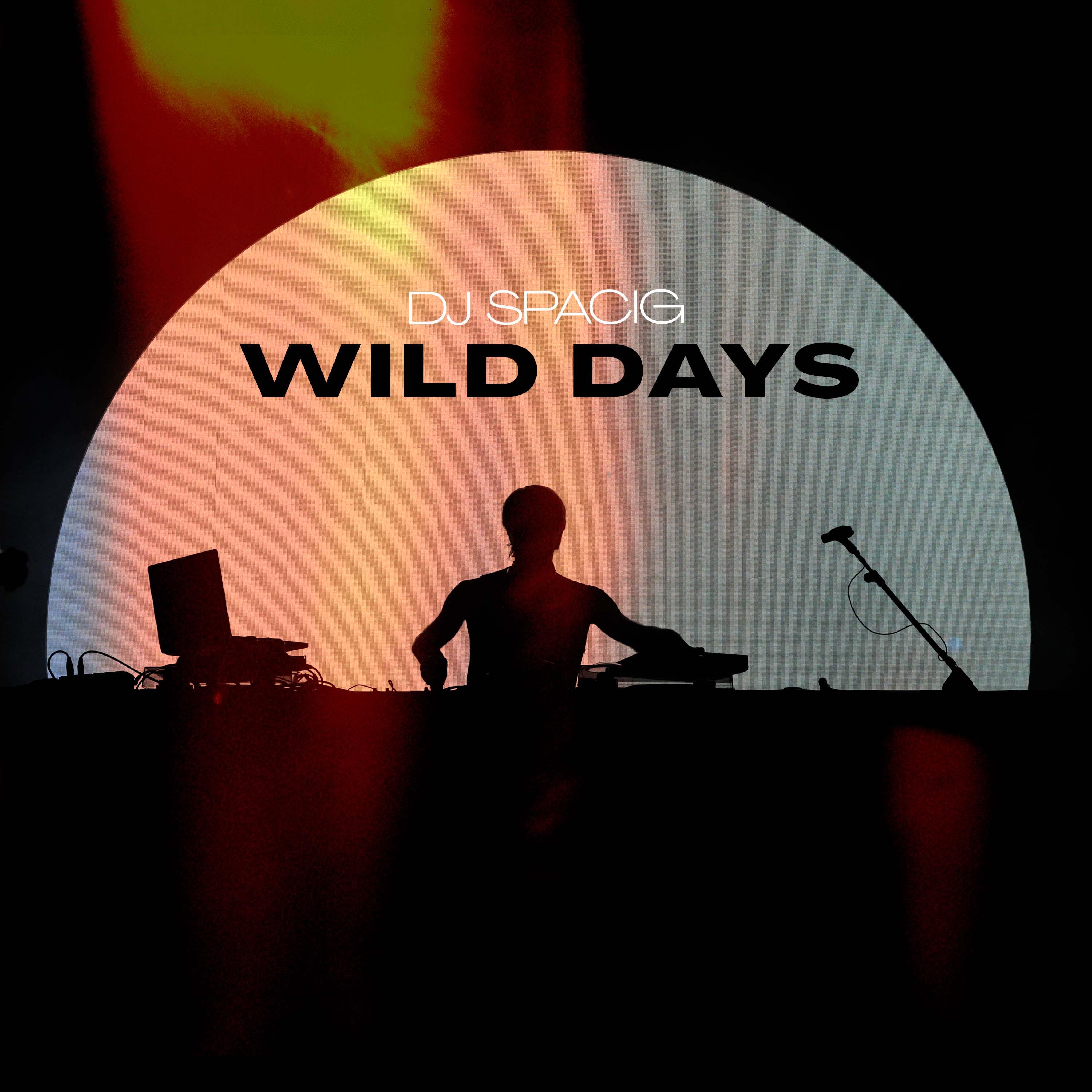 DJ Spacig - Wild Days