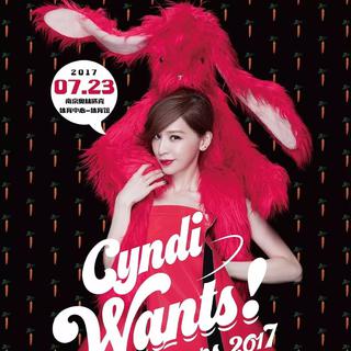 王心凌Cyndi Wants!巡回演唱会南京场