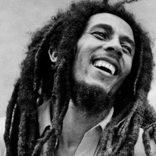 「慵懒雷鬼波：阳光、棕榈与灵魂漂流瓶」