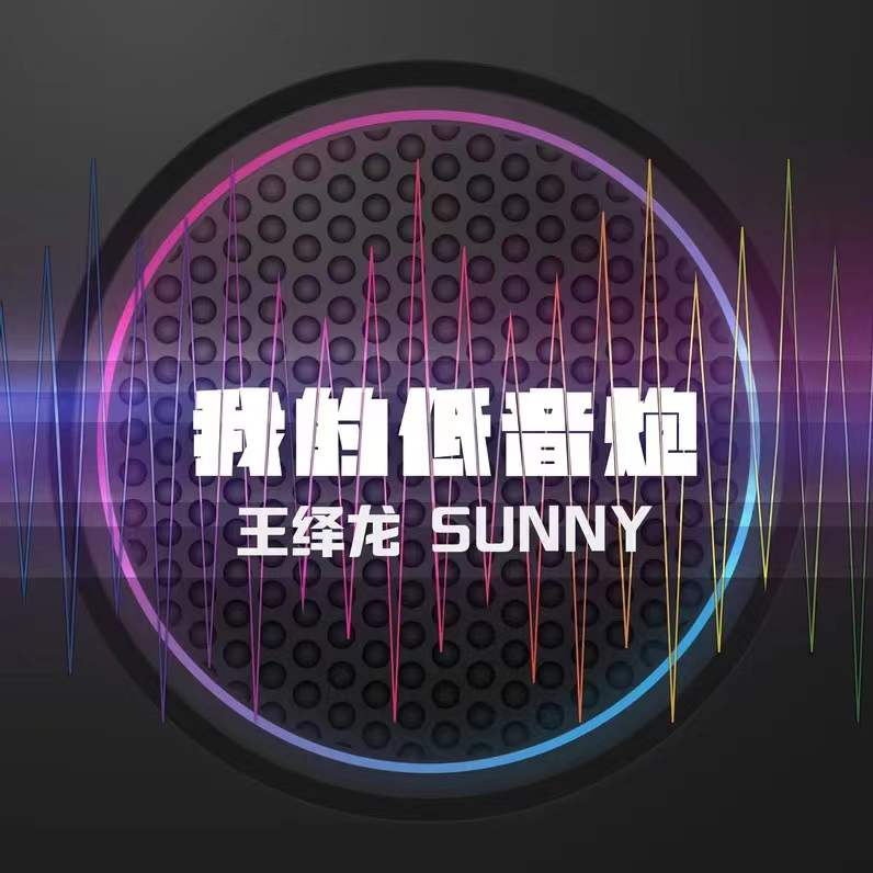 我的低音炮