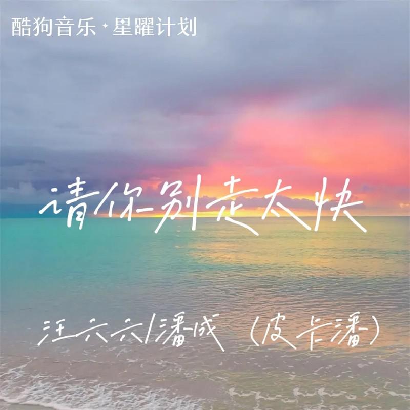 潘成(皮卡潘)歌曲封面