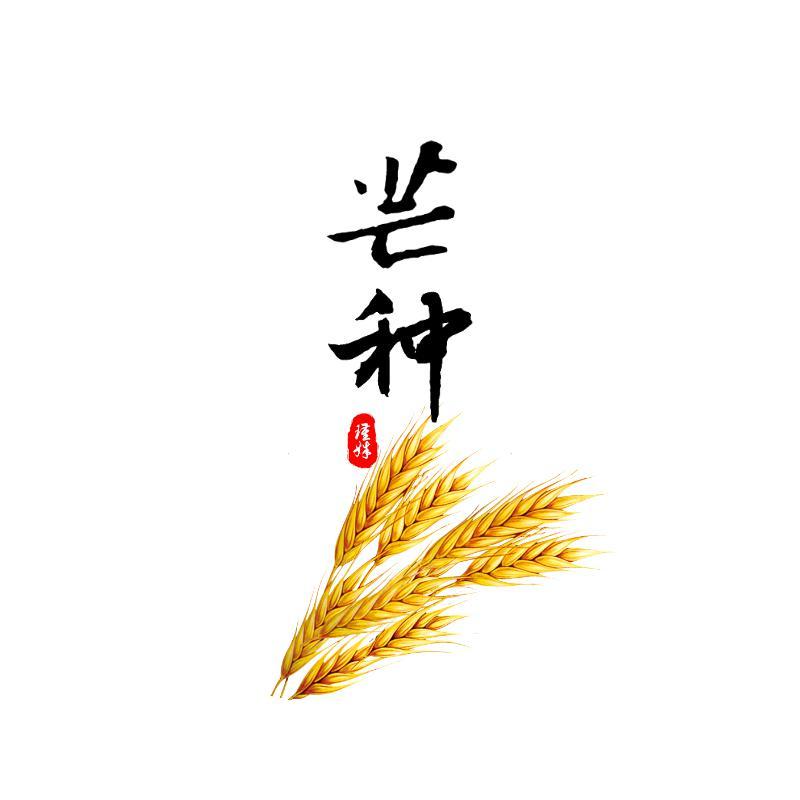 芒种