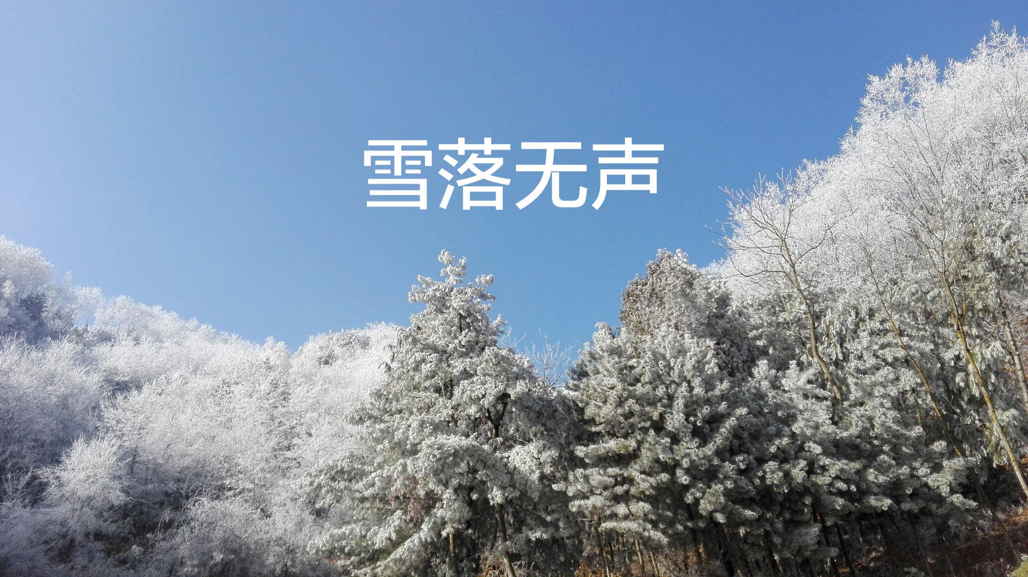 雪落无声专辑