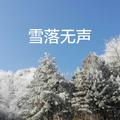 雪落无声