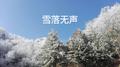 雪落无声专辑